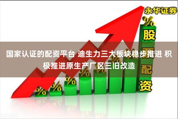国家认证的配资平台 迪生力三大板块稳步推进 积极推进原生产厂区三旧改造