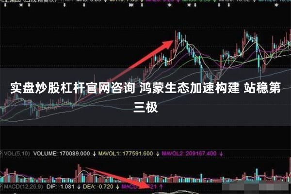 实盘炒股杠杆官网咨询 鸿蒙生态加速构建 站稳第三极